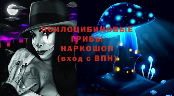гашик Долгопрудный