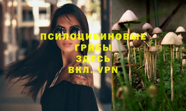 Альфа ПВП Магадан