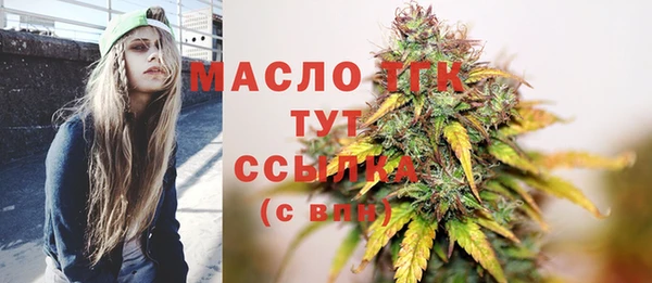 гашик Долгопрудный