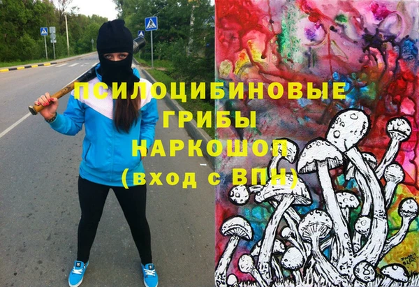 крисы Орехово-Зуево