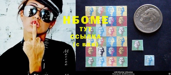 шишки Магас