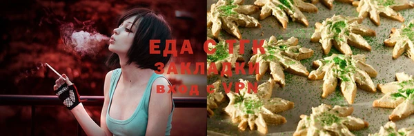 гашик Долгопрудный