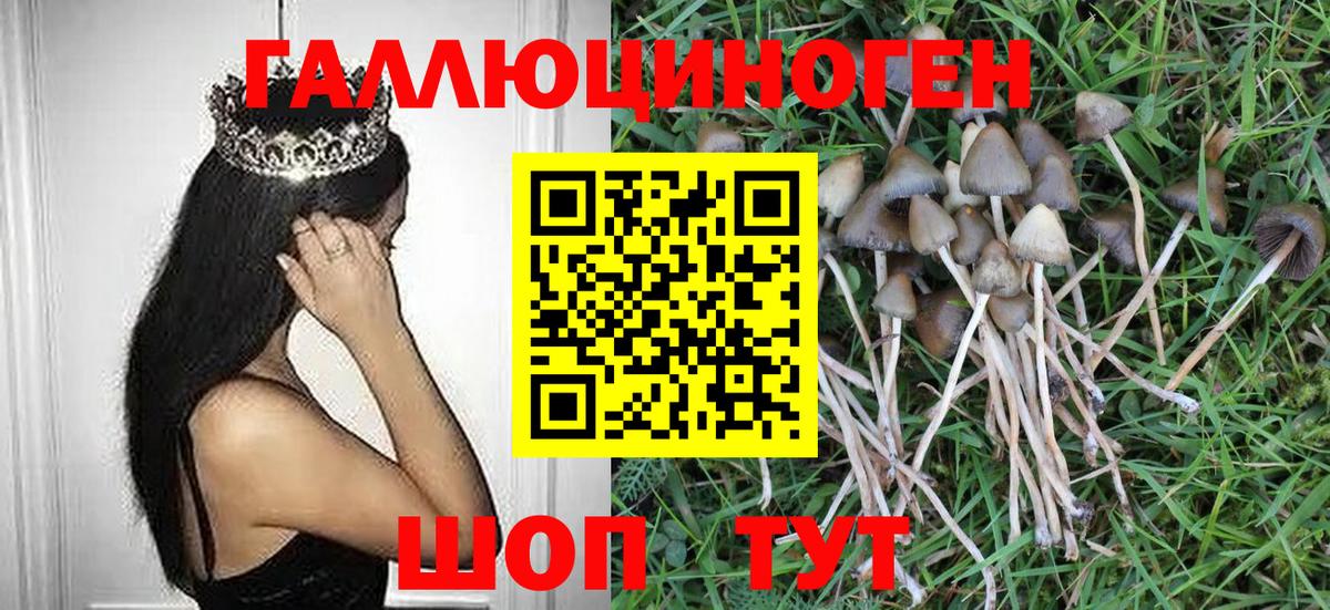 Псилоцибиновые грибы мухоморы Дзержинск